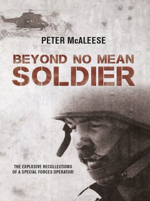 cover image of Beyond No Mean Soldier